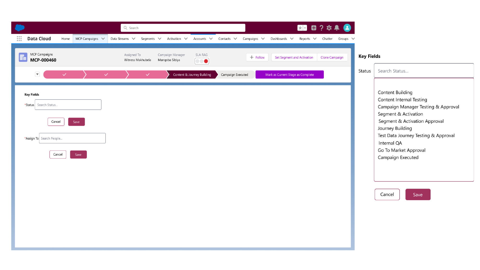 Salesforce — Campaign Operations — Stage activation — Content & Journey Building