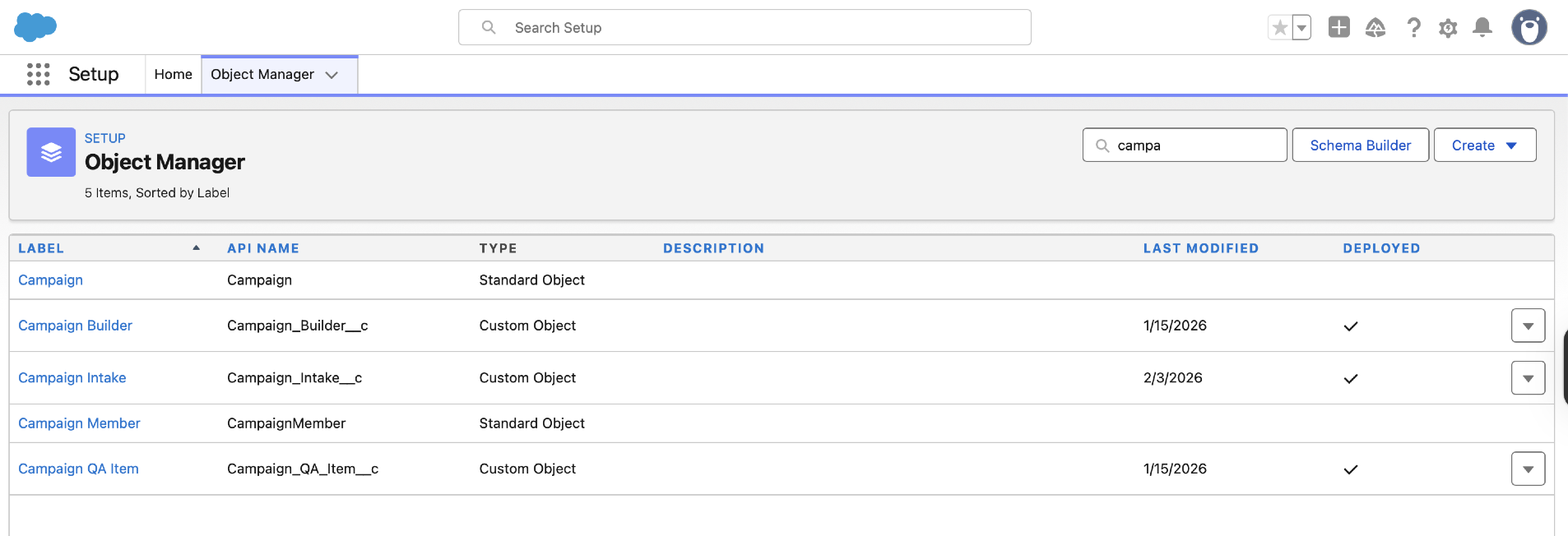 Object Manager — Custom Objects