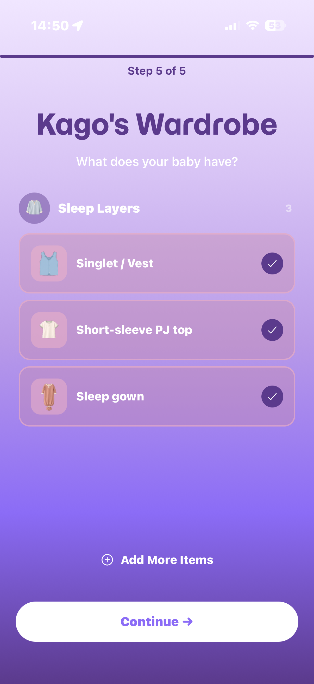 Wardrobe — Items Selected